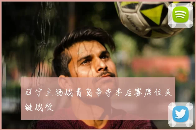 辽宁主场战青岛争夺季后赛席位关键战役