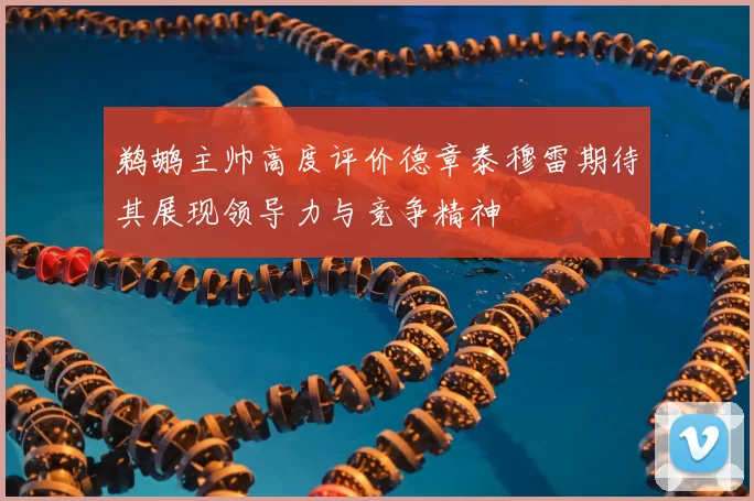 鹈鹕主帅高度评价德章泰穆雷期待其展现领导力与竞争精神