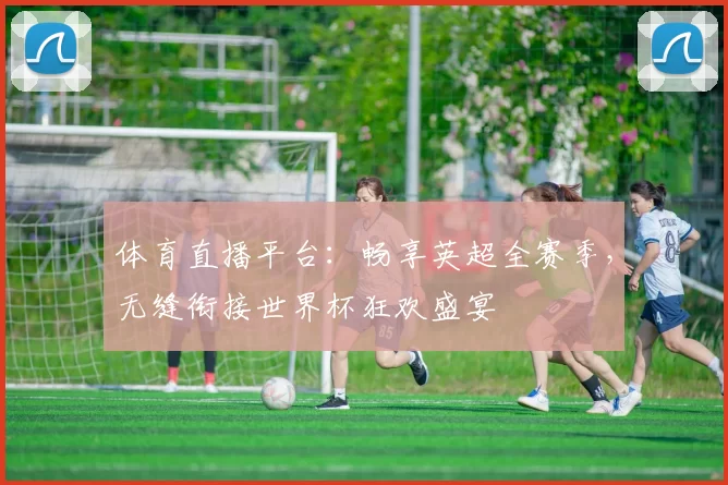 体育直播平台:畅享英超全赛季,无缝衔接世界杯狂欢盛宴