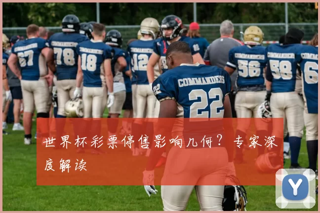 世界杯彩票停售影响几何？专家深度解读