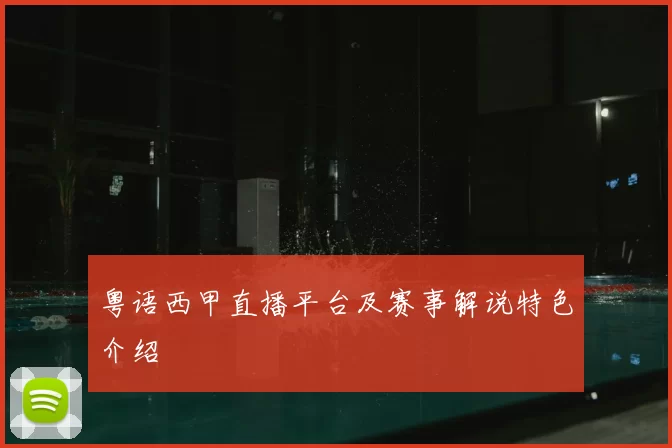 粤语西甲直播平台及赛事解说特色介绍