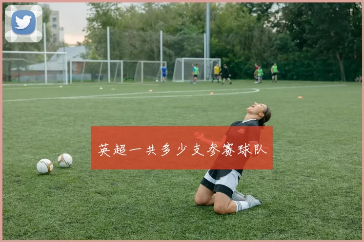 英超一共多少支参赛球队