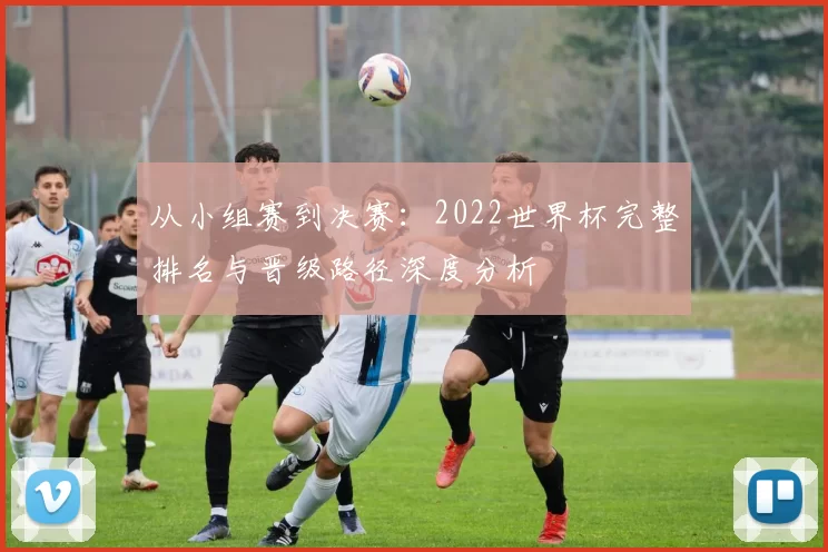 从小组赛到决赛:2022世界杯完整排名与晋级路径深度分析