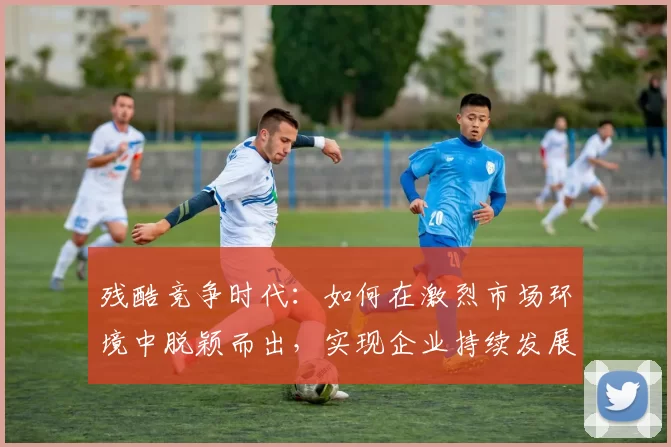 残酷竞争时代：如何在激烈市场环境中脱颖而出，实现企业持续发展与创新突破