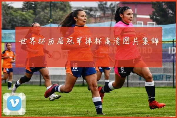 世界杯历届冠军捧杯高清图片集锦