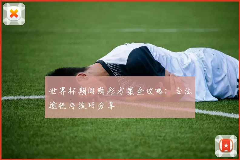 世界杯期间购彩方案全攻略:合法途径与技巧分享