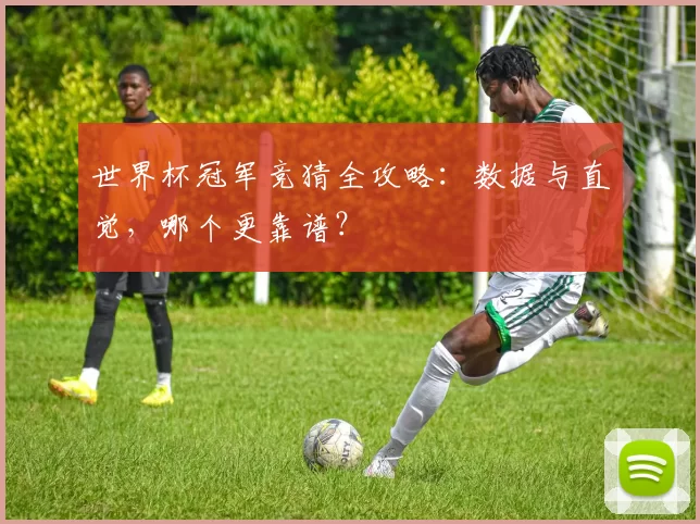 世界杯冠军竞猜全攻略:数据与直觉,哪个更靠谱?