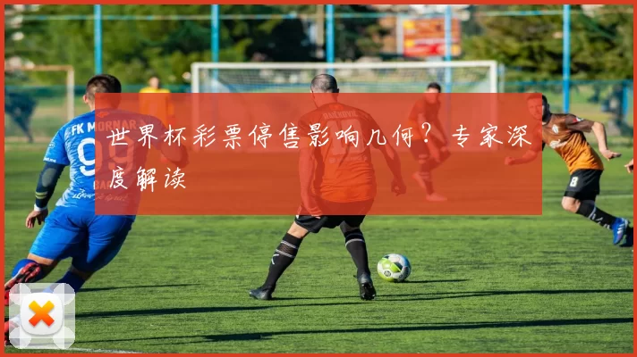 世界杯彩票停售影响几何?专家深度解读