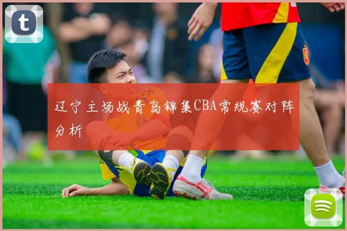 辽宁主场战青岛锦集CBA常规赛对阵分析