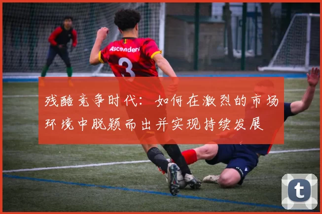 残酷竞争时代：如何在激烈的市场环境中脱颖而出并实现持续发展