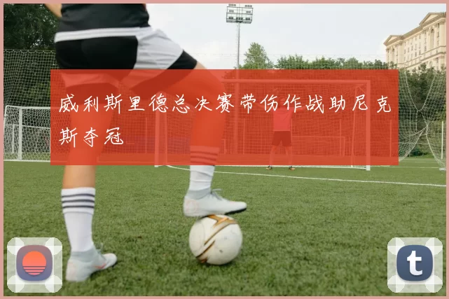 威利斯里德总决赛带伤作战助尼克斯夺冠